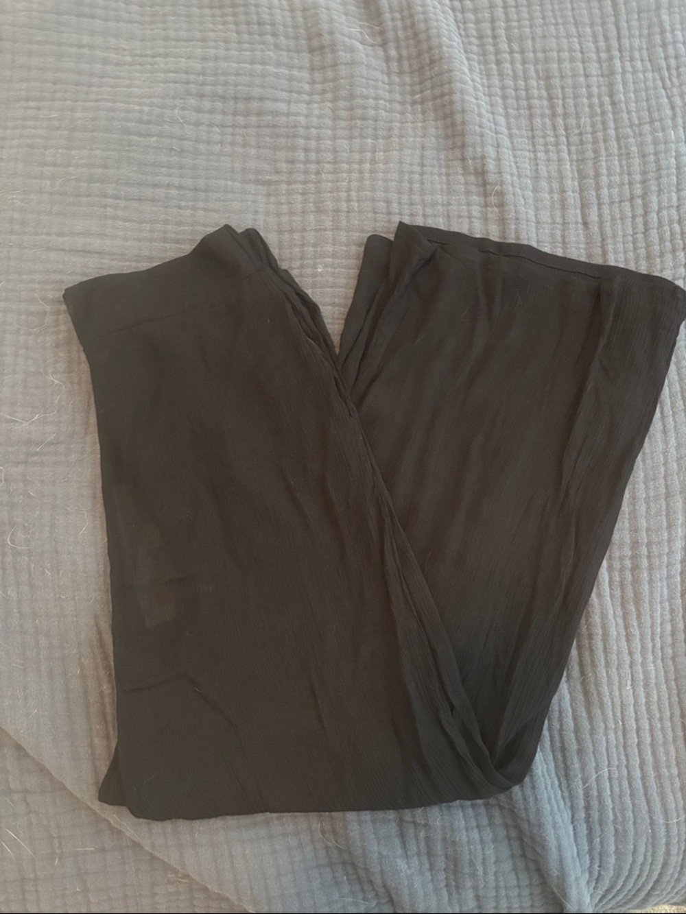 Contempo Semi-Sheer Pants